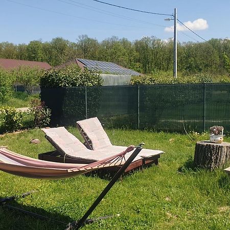 Forest Relax Near Oradea -Pet Friendly Les Eksteriør billede