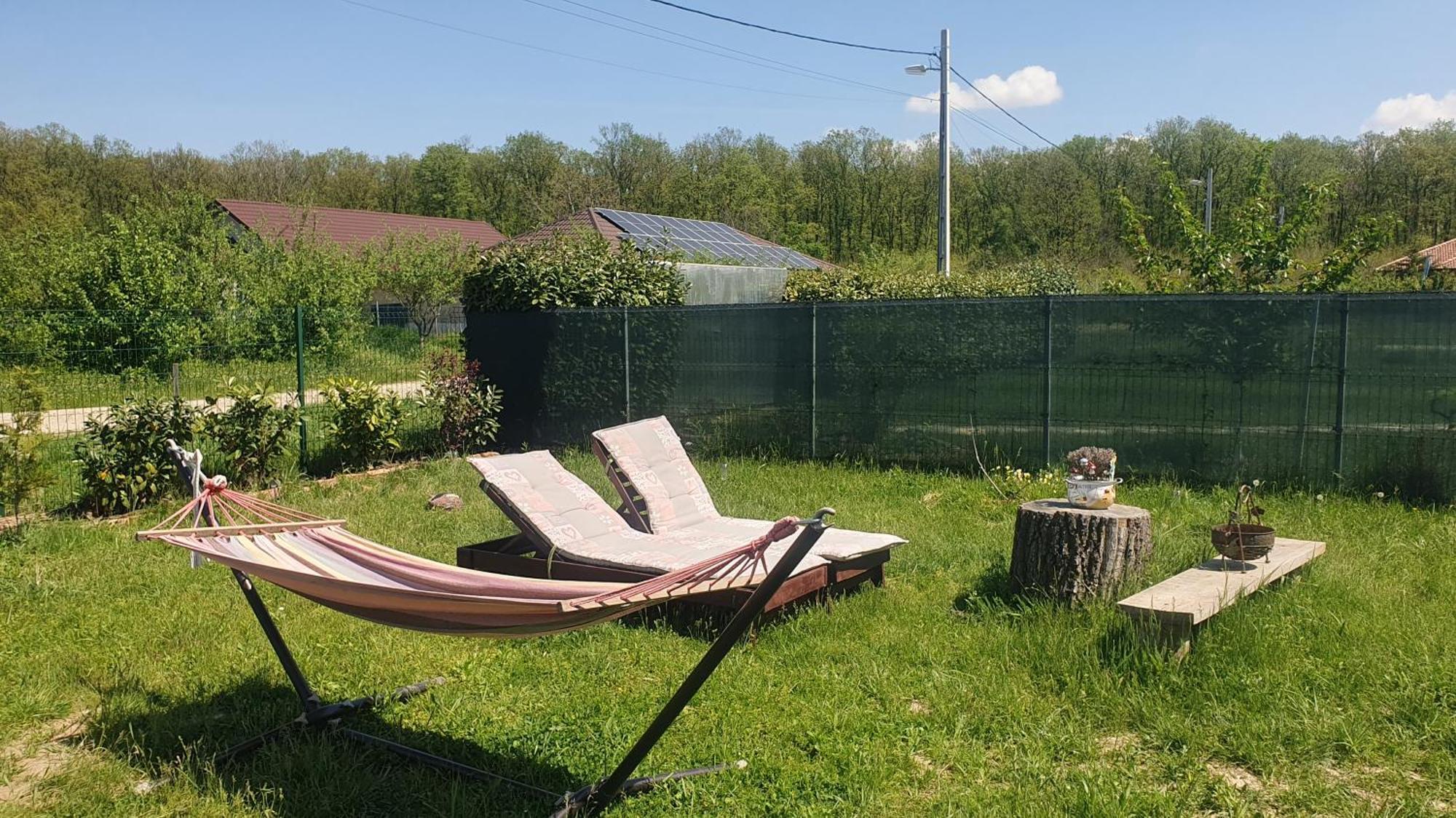 Forest Relax Near Oradea -Pet Friendly Les Eksteriør billede